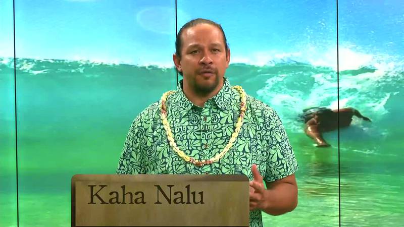 Hawaiian Word: Kaha Nalu