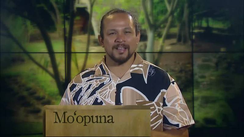 Hawaiian Word of the Day: Moʻopuna